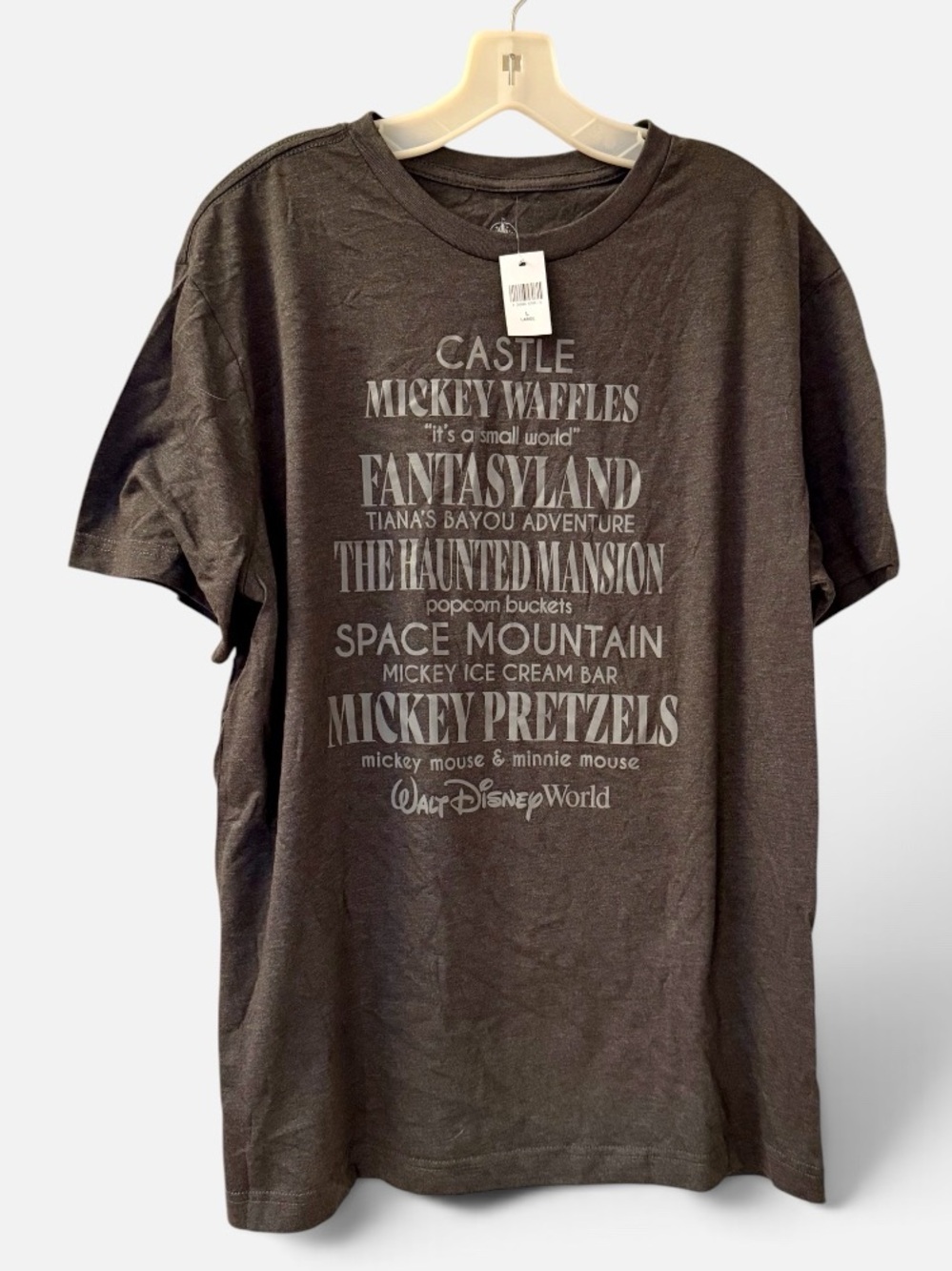 Disney Men’s Dark Gray Graphic Tee with Park Typography - Size L & 2XL - NWT